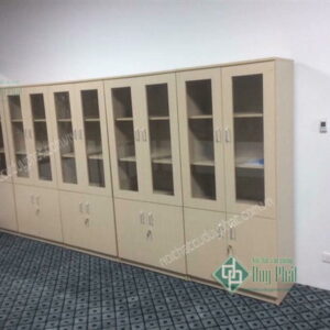 Tủ văn phòng đựng hồ sơ, tài liệu bằng gỗ 2 cánh kính (TVPG-01)